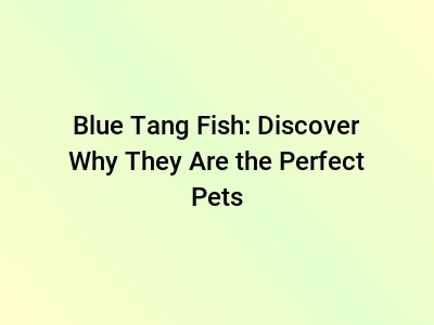 Blue Tang Fish: Discover Why They Are the Perfect Pets