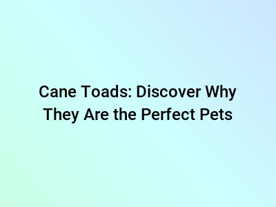 Cane Toads: Discover Why They Are the Perfect Pets