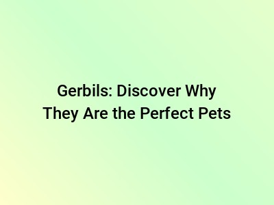 Gerbils: Discover Why They Are the Perfect Pets