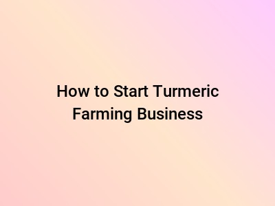 How to Start Turmeric Farming Business