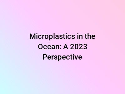 Microplastics in the Ocean: A 2023 Perspective