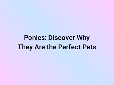 Ponies: Discover Why They Are the Perfect Pets