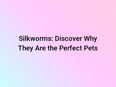 Silkworms: Discover Why They Are the Perfect Pets