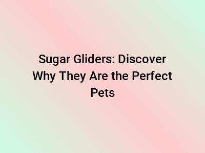 Sugar Gliders: Discover Why They Are the Perfect Pets