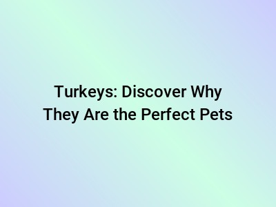 Turkeys: Discover Why They Are the Perfect Pets