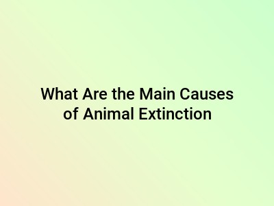 What Are the Main Causes of Animal Extinction?