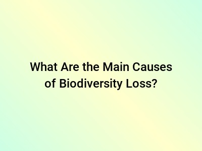 What Are the Main Causes of Biodiversity Loss?